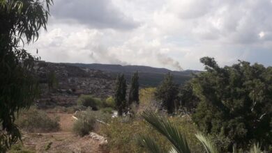 Photo of “الحريق لا يزال مستعرًا”… مناشدة من أهالي علما الشعب