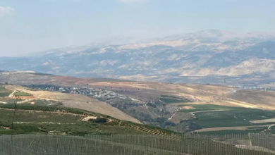 Photo of الجبهة الجنوبية على حافة الهاوية