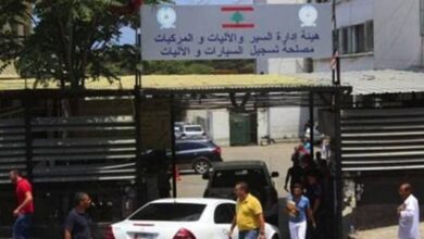 Photo of مع عودة “النافعة”… حركة ناشطة للسماسرة