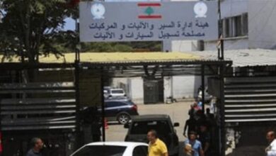 Photo of النافعة تنجز معاملات خدمات جديدة بدءاً من الثلاثاء