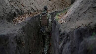 Photo of الفئران تغزو خنادق الجنود الأوكرانيين.. إليكم ماذا حصل