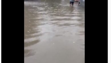 Photo of بالفيديو – في صور.. الشوارع مغمورة بالمياه بسبب الامطار الغزيرة