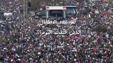 Photo of مظاهرات حاشدة بالملايين اليوم في الولايات المتحدة الامريكية وخاصة العاصمة واشنطن نصرة لإيقاف الحرب على غزة