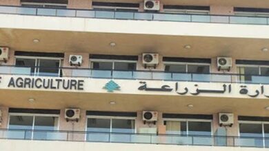 Photo of تعميمٌ من “الزراعة” للحصول على بذور القمح الطري