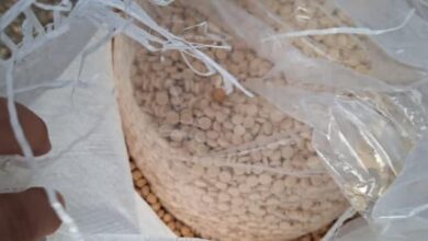 Photo of من بيروت الى كينيا… كبتاغون بأكياس الحبوب