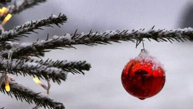 Photo of برق ورعد والثلوج على هذا الإرتفاع.. كيف سيكون طقس عيد الميلاد؟