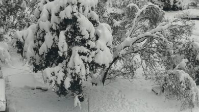 Photo of استعدوا… عواصف رعدية وأمطار غزيرة والثلوج على هذا الإرتفاع