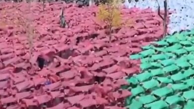 Photo of اسبان يشكلون علم فلسطين !